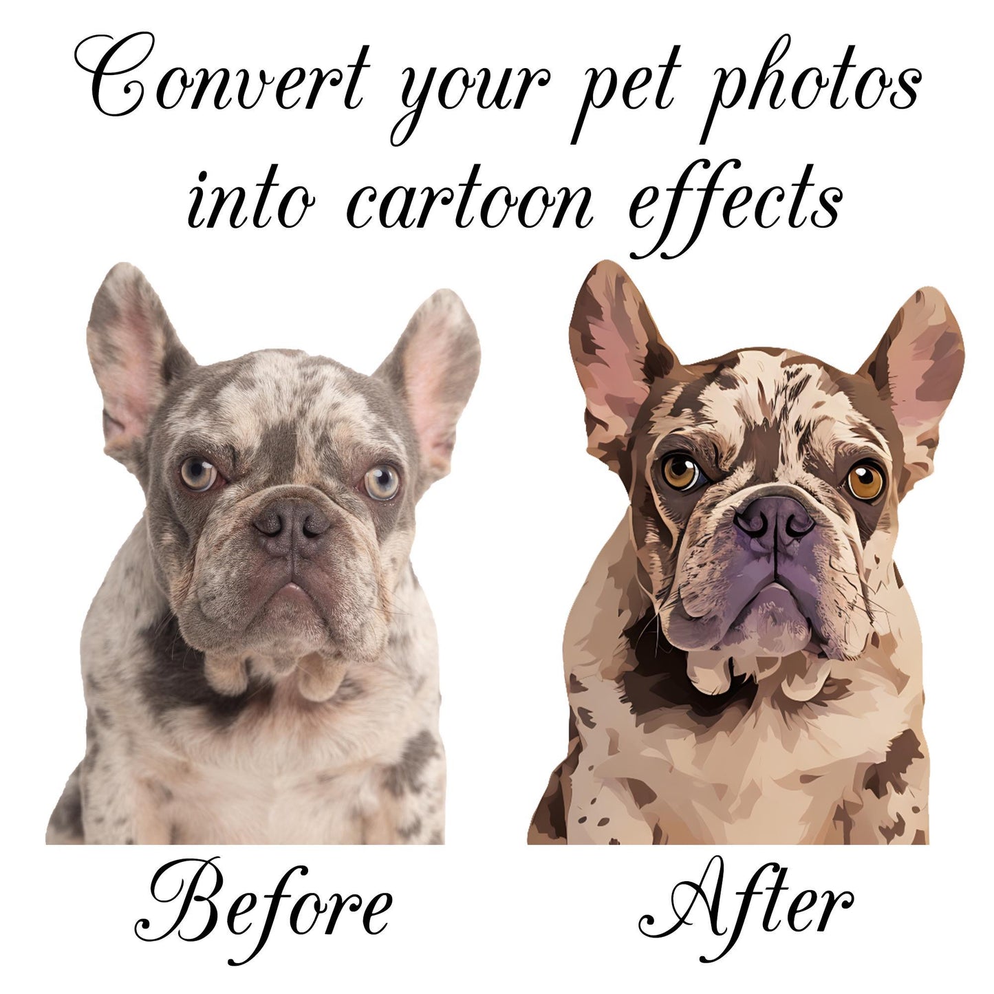 Custom Pet Photo Socks, Personalized Pet Socks, Custom Dog Socks, Mothers Day Gifts, Cat/Dog Dad Gifts, Dog Face Socks, Pet Lovers Gift